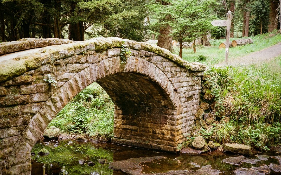 an old stone bridge over a stream in woodland