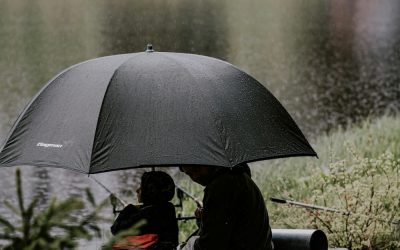 Under The Same Umbrella